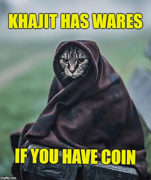 A picture of a tabby cat wrapped up in a brown blanket with the caption in yellow 'KHAJIT HAS WARES' at the top, and 'IF YOU HAVE COIN' at the bottom.