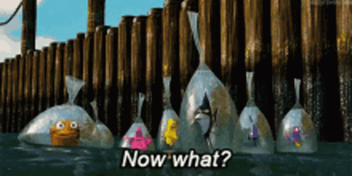 A gif from finding nemo, showing tropical fish in plastic bags floating in the ocean with the caption 'Now what?'