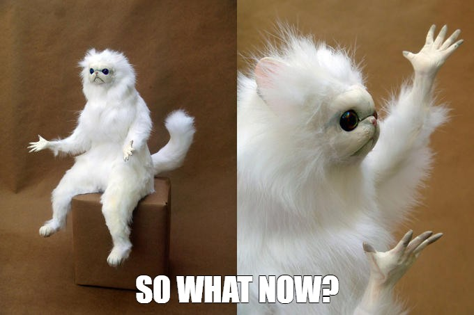 Two pictures of a surprised/shocked looking furry puppet/doll, with the caption SO WHAT NOW? at the bottom.